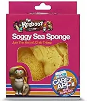 Sea Sponge