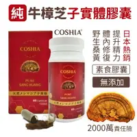 在飛比找樂天市場購物網優惠-【COSHIA科雅健研】PI-365 野生桑黃子實體素食膠囊