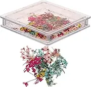 Dried Floral Nail Japanese Style Manicure Decor Portable Storage Box Unique Dried Flowers for DIY Nail Designs Chic and Elegant for Women