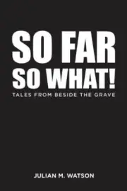 So Far So What by Julian M. Watson 9781035855087 NEW
