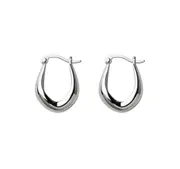 ANYCO Fashion Earrings 925 Sterling Silver Statement French Simple Rock for Women Unique Charm Gothic Hip Hop Piercing Jewelry
