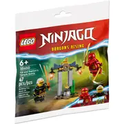 LEGO 30650 - Ninjago Kai and Rapton's Temple Battle polybag
