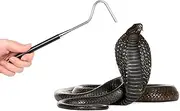 Snake Hook Reptile Hook Catcher Retractable Snake Hook Snake catching artifact for Snake Lovers