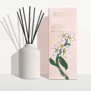 ECOYA Limited Edition Citrus Blossom & Magnolia Ceramic Diffuser