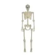 5' Posable Full Size LED Sound Effects Halloween Skeleton Outdoor Yard Decor
