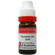 Dr. Reckeweg Homeopathy Tarentula Hispanica (11 ml) (Select Potency)