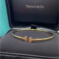 在飛比找蝦皮購物優惠-Tiffany & co 蒂芬妮 Narrow Wire 玫