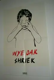 POSTER by WYE OAK shriek tour Promo for the band album cd F