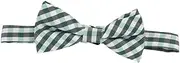 [Holibanna] Patricks Day Children's Bow Ties Boys Clip-on Bow Ties Patricks Day Party Supplies for Toddlers