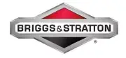 Tree Engine Original Briggs & Stratton 691456