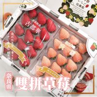 在飛比找蝦皮商城精選優惠-【綠之果物】日本草莓 古都華 淡雪 30-40粒 日本空運直