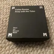 Calida Rawles: Away With The Tide PAPERWEIGHT from Perez Art Museum Miami
