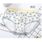 【在水一方】新品純棉 精品頂級棉三角底褲 梅花少女內褲 0922分碼女款內褲 有大碼