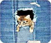 "Pocket Kitty" Computer / Laptop Mouse Pad