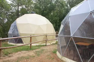 Star Gazing Geodesic Dome