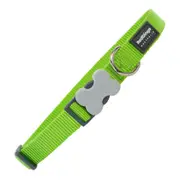 Dog Collar by Red Dingo Lime 2 x 2436 Cm