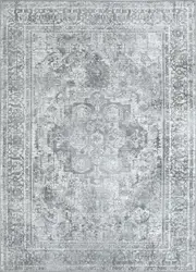 Euphrates Arbela Transitional Charcoal Rug