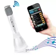 Bluetooth Karaoke Microphone Speaker System with Wireless Megaphone-Style Mic