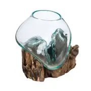 Evergreen Beautiful springtime small Glass Planter on Driftwood Outside decor
