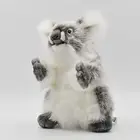 BH3525 HANSA Koala pups 24