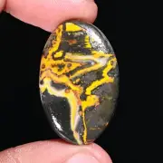Incredible Top Quality 100% Natural Bumble Bee Oval Shape color Black Cabochon
