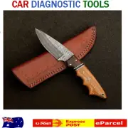 Beautiful Designed Fixed Blade Damascus Steel Hunting Knife Full Tang Gift item