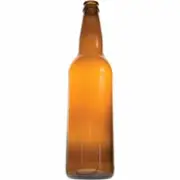Home Brew Ohio Beer Bottles 22 oz. w/ Bottle Divider