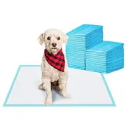 Pet Training and Puppy Pads Pee Pads for Dogs 22"x22" Super 100-Count