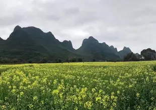 桂林碧水河岸精品民宿(疊翠路與縣前街交叉口分店)桂林碧水河岸精品民宿(叠翠路与县前街交叉口分店)