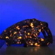 170g Natural Yooperlite saber-toothed tiger Skull Reiki Quartz Crystal Skull Dec