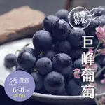 【禾鴻】彰化溪湖溫室巨峰葡萄5斤X1盒(6-8串/盒_酸甜好滋味)