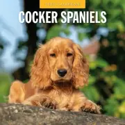 Red Robin 2025 Cocker Spaniels Monthly Wall Calendar | 12" x 24" Open | Premi...