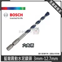 在飛比找蝦皮購物優惠-【五金批發王】博世 BOSCH 藍龍震動水泥鑽頭 六角柄 水