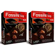 2PK Kaper Kidz Dig & Discover Fossils Dig Childrens Mining/Excavation Kit 6y+