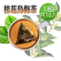 在飛比找PChome24h購物優惠-【蔘大王】桂花烏梅美顏茶包X1組（6gX10入/組）解渴美妍