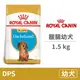 【法國皇家 Royal Canin】(即期)(PRDJ30 /DSP) 臘腸幼犬 1.5公斤 (狗飼料)(效期2024/10/16)