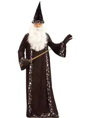 Oh Mr. Wizard Adult Costume with Hat and Robe Fits Size up to 44
