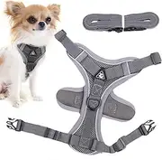 Cat Harness - Kitten Walking Harness and Lead | Breathable Cat Walking Harness and Lead, Kitten Adjustable Soft Vest Harness for Kitten Puppy