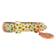 Pawfect Pals Mind Collar