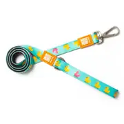 Max & Molly Dog Leash - Duckling