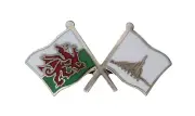 France Rhône-Alpes Flag & Wales Flag Friendship Courtesy Pin Badge