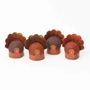 Turkey Feather Surprise Balls Party Favors Set of 4