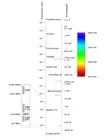 Electromagnetic Spectrum Chart Diagram Graphic Poster Print Science 18 x 24 in