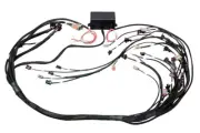 Elite 2500 DBW Ready Terminated Harness Injector HT-141366