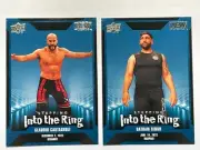 2023 Upper Deck AEW Stepping Into The Ring SP Lot (2) Satnam Singh Castagnoli