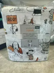 Pottery Barn Kids Peanuts HALLOWEEN organic QUEEN sheet set SNOOPY teen COTTON