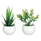 Ornaments Fake Flowers Simulated Tree Pot Plants Artificial Aloe Plants Bonsai