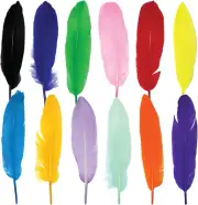 120Pcs Colorful Goose Feathers for DIY Crafts, Jewelry Making, Wedding, Home or