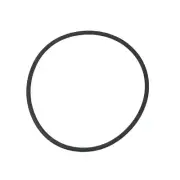 Intex Leaf Trap Cover O-Ring Gasket for Krystal Clear SX3200 Pool Filter Pump