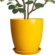 EPFamily 10 Inch Plant Pot - Ceramic Pot for Plants Outdoor Planter for Indoor Plants Large Plant Pot with Drainage Hole and Saucer Round Flower Pot for Home Patio Office Yellow
